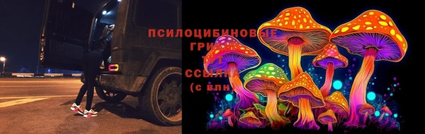 марки nbome Нязепетровск