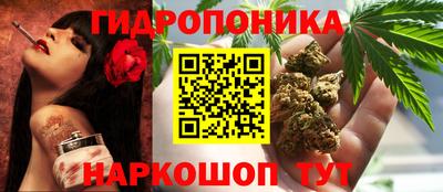 тгк Абакан