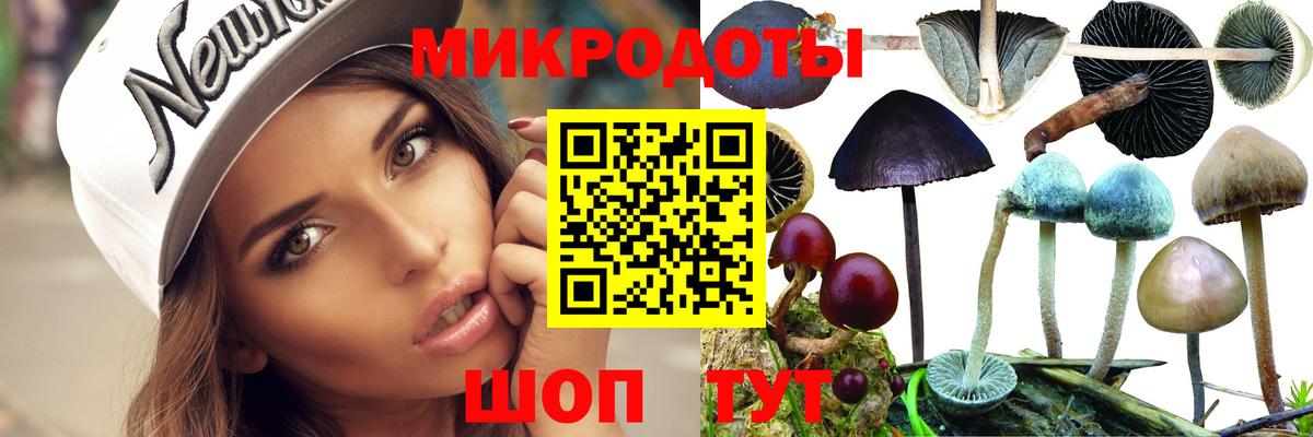 Анжеро-Судженск  купить наркоту  Вход с VPN  Псилоцибиновые грибы Cubensis 